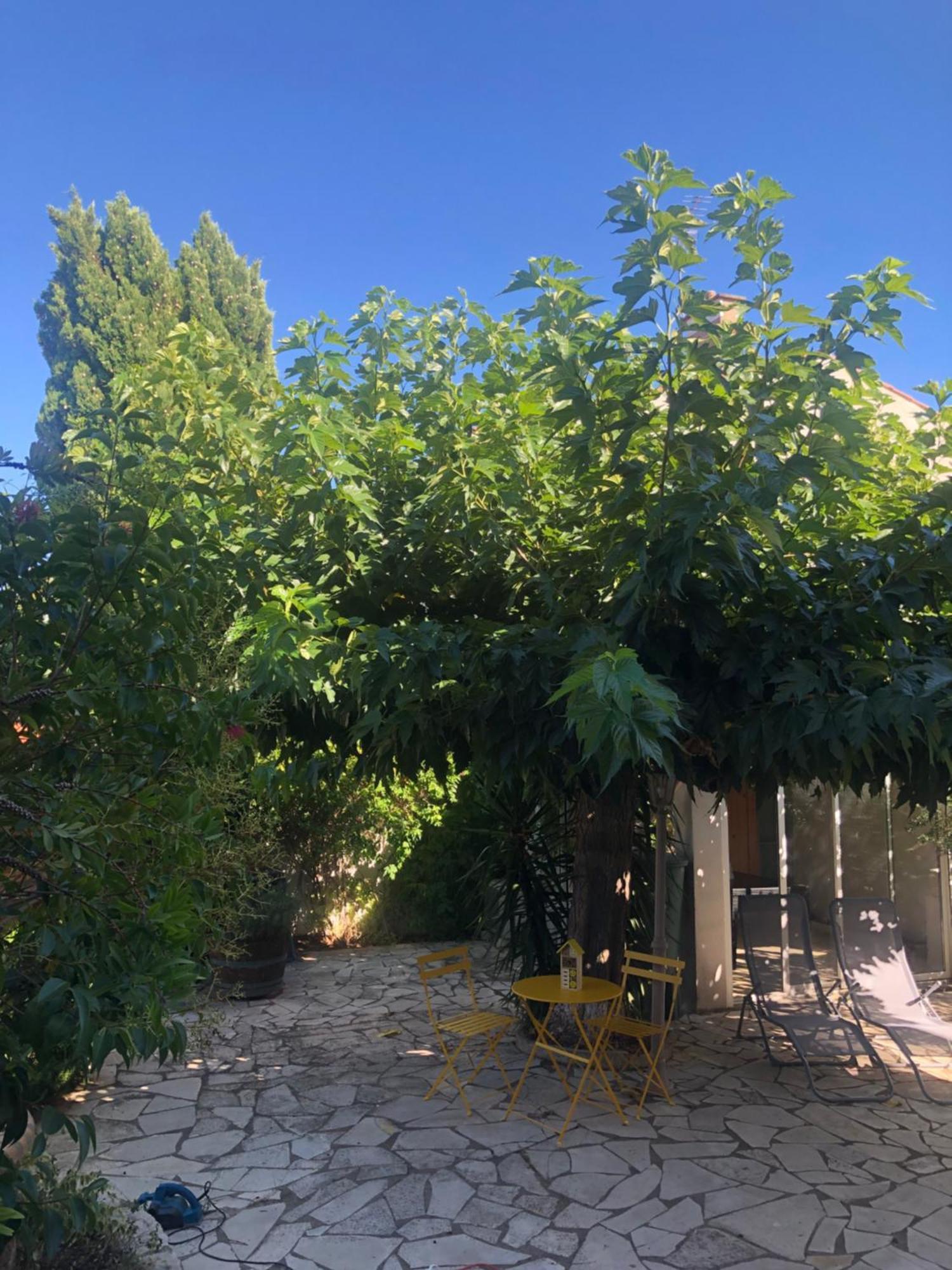 Villa Reine Du Sud Proche Des Grands Buffets Narbonne Exterior foto